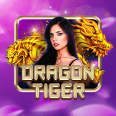 Dragon Tiger live table game 2
